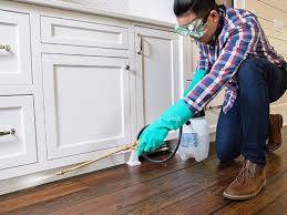 Best Pest Exclusion Services  in Holbrook, AZ